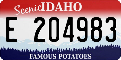 ID license plate E204983