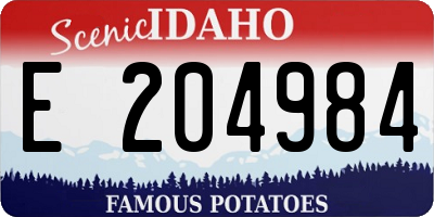 ID license plate E204984
