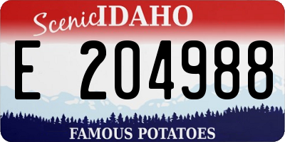 ID license plate E204988