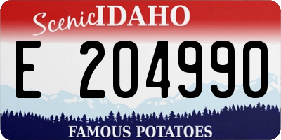 ID license plate E204990