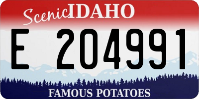 ID license plate E204991