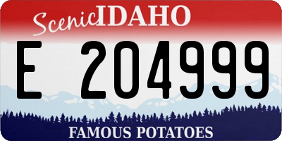 ID license plate E204999