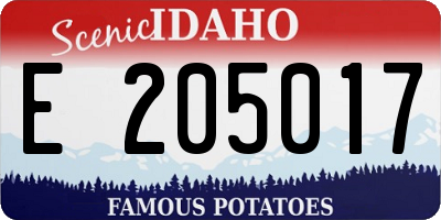ID license plate E205017
