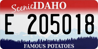 ID license plate E205018