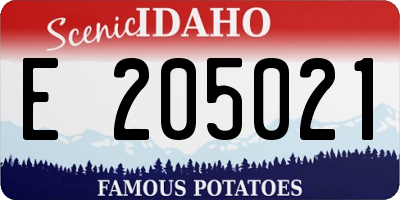 ID license plate E205021