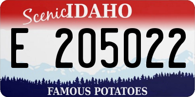 ID license plate E205022