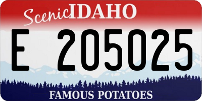 ID license plate E205025