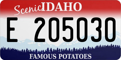 ID license plate E205030