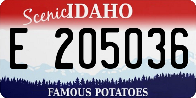 ID license plate E205036