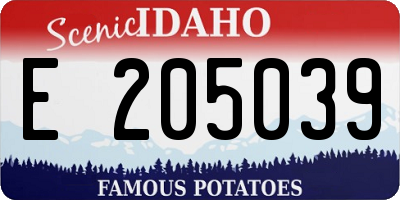 ID license plate E205039