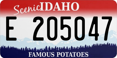 ID license plate E205047