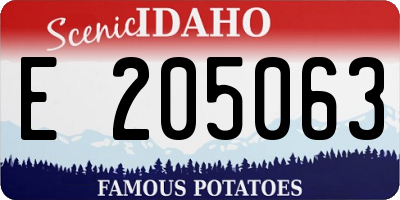 ID license plate E205063
