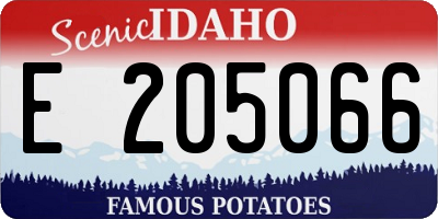 ID license plate E205066
