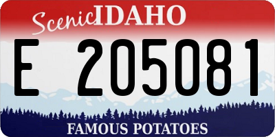 ID license plate E205081