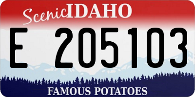 ID license plate E205103