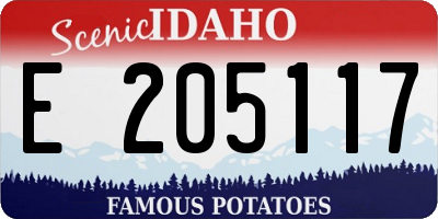 ID license plate E205117