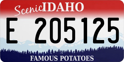 ID license plate E205125
