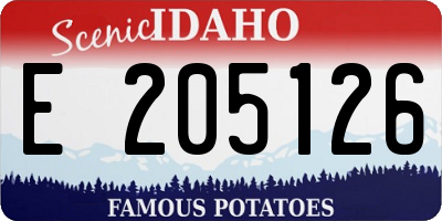 ID license plate E205126