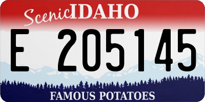 ID license plate E205145
