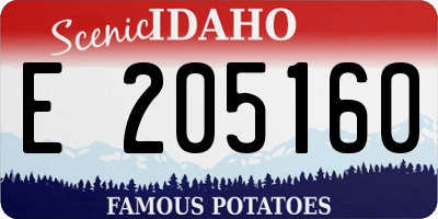 ID license plate E205160