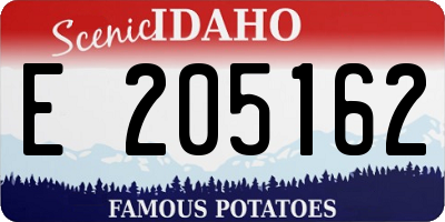 ID license plate E205162