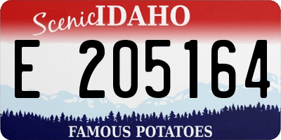 ID license plate E205164