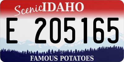ID license plate E205165