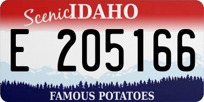 ID license plate E205166