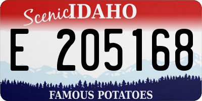 ID license plate E205168