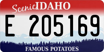 ID license plate E205169