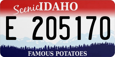 ID license plate E205170