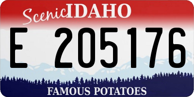 ID license plate E205176