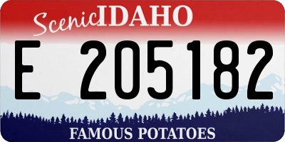 ID license plate E205182