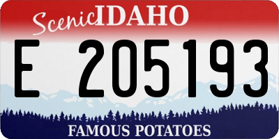 ID license plate E205193