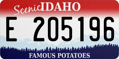 ID license plate E205196
