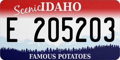 ID license plate E205203