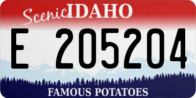 ID license plate E205204
