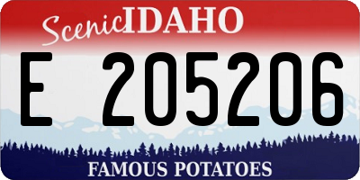 ID license plate E205206