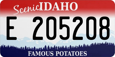 ID license plate E205208