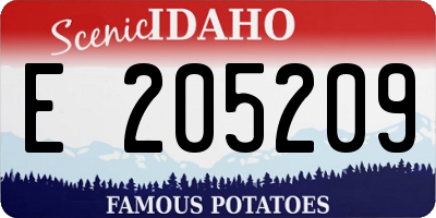 ID license plate E205209