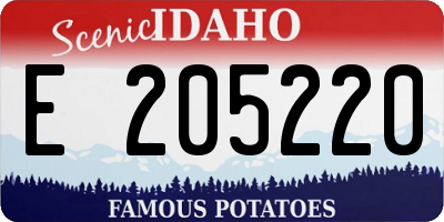 ID license plate E205220