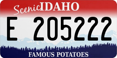 ID license plate E205222