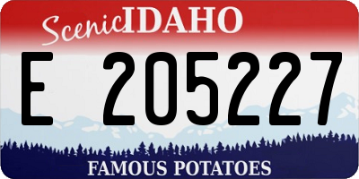 ID license plate E205227