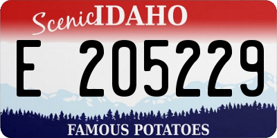 ID license plate E205229