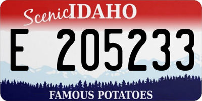 ID license plate E205233