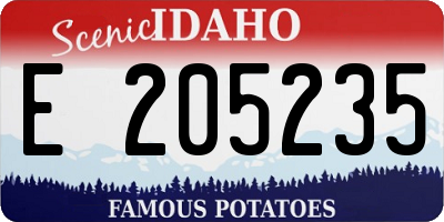 ID license plate E205235
