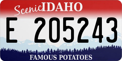 ID license plate E205243
