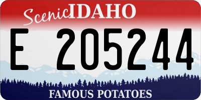 ID license plate E205244