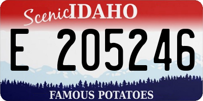 ID license plate E205246