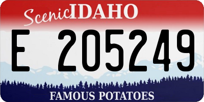 ID license plate E205249